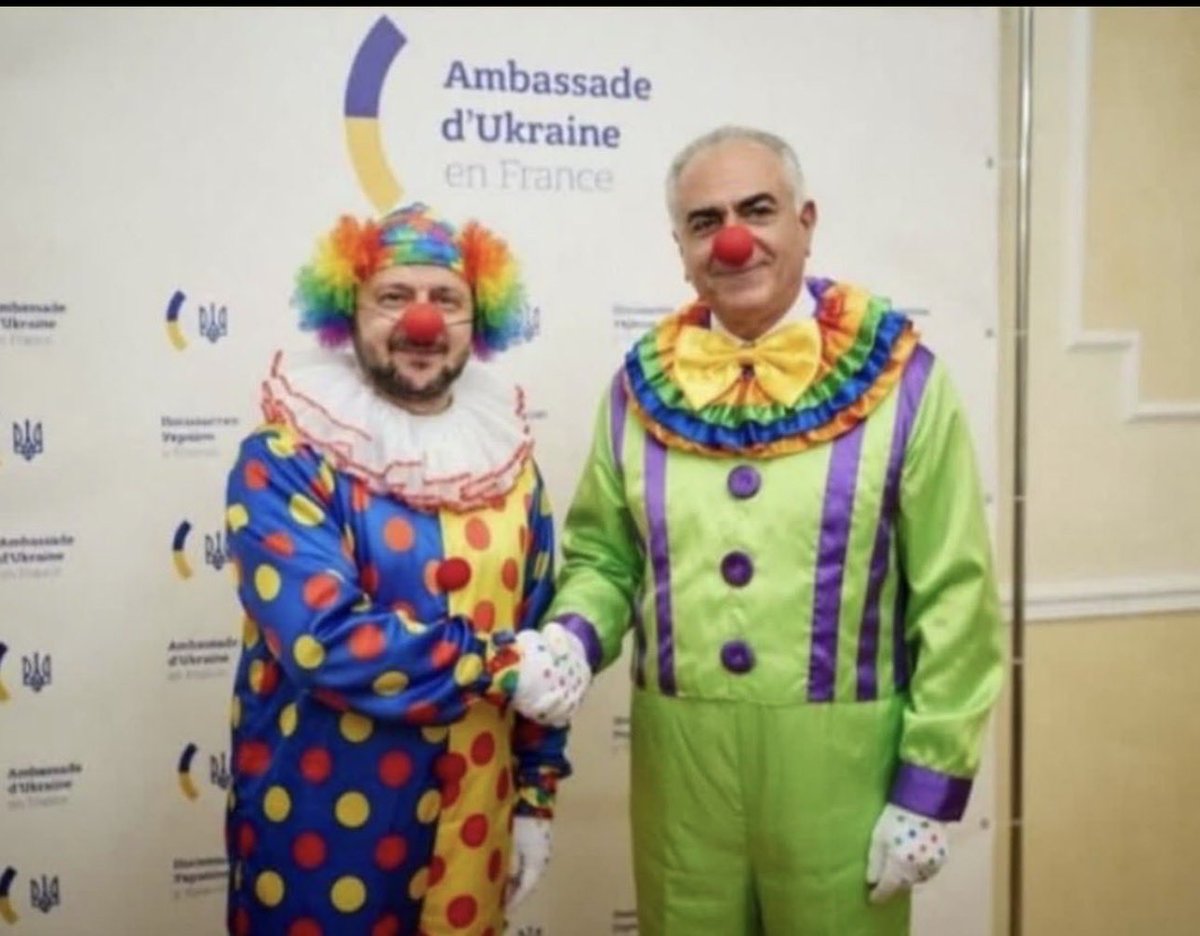 Dadash Dadashi tweet media