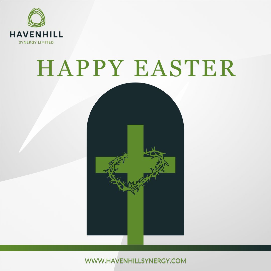 Havenhill Synergy Limited tweet media