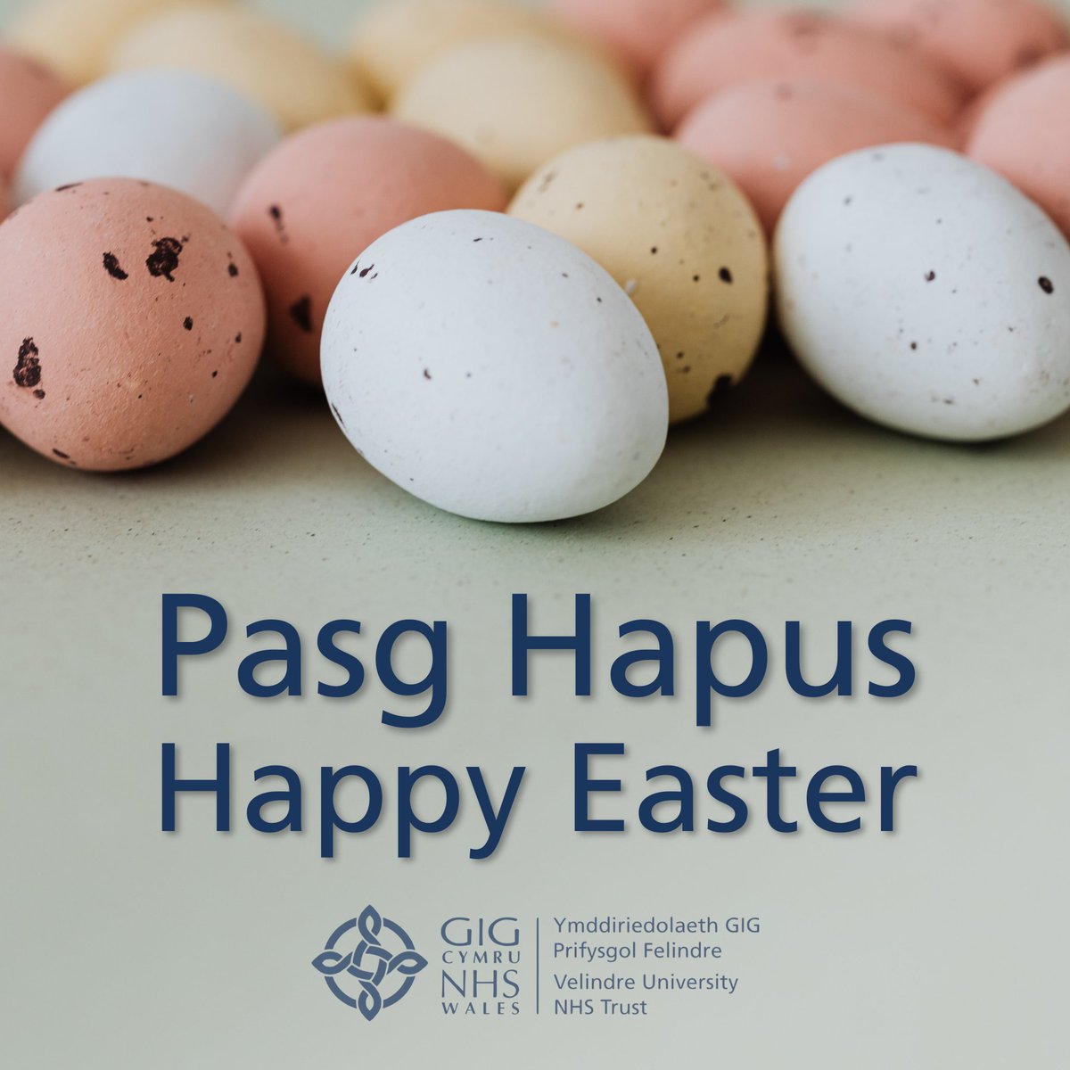 YFelindre's tweet photo. 🥚 Pasg hapus i'n holl gleifion, rhoddwyr, gwirfoddolwyr a chefnogwyr! https://t.co/ayk8SjSB8B