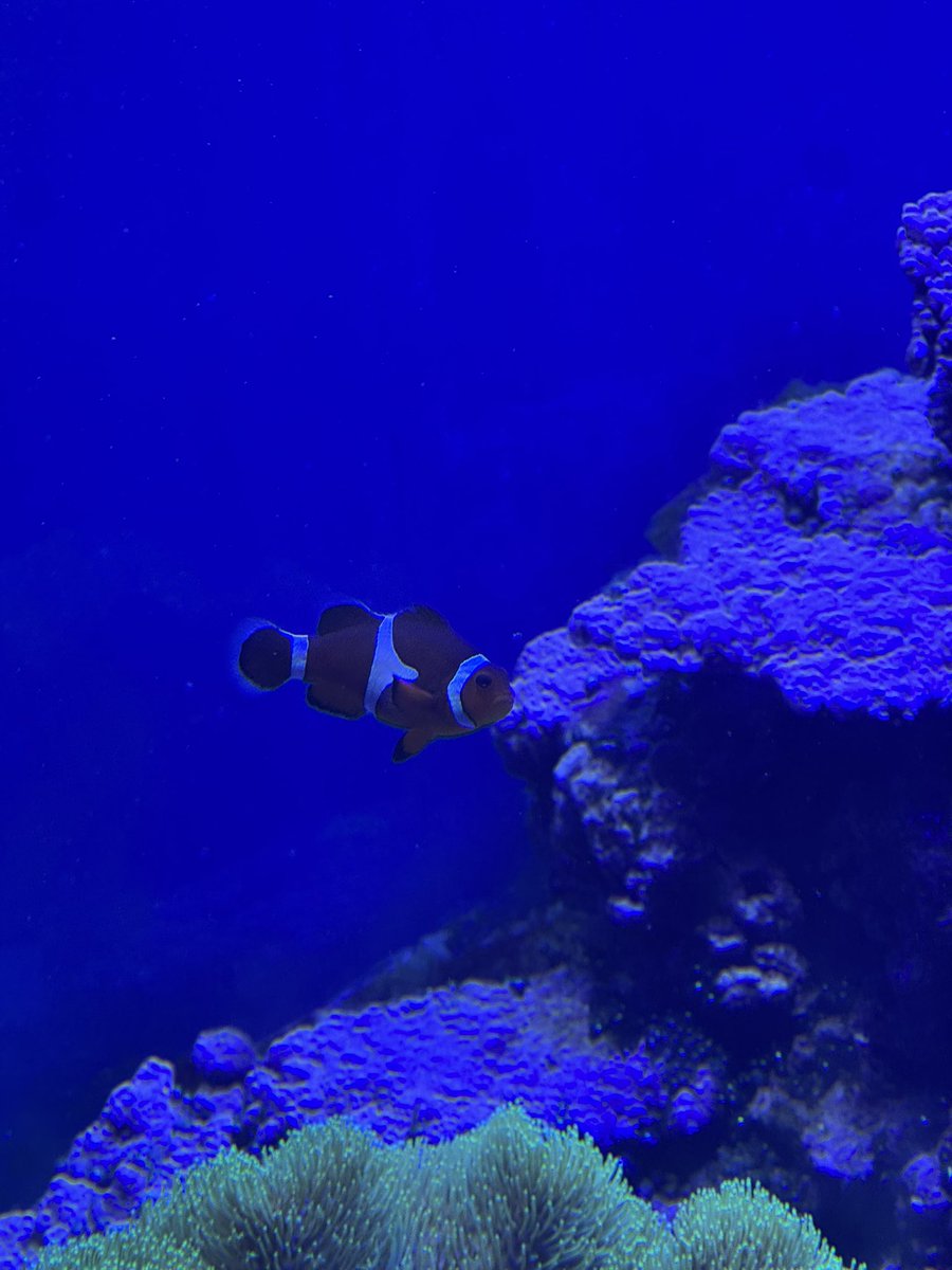 boki 🍬🇷🇺 tweet media