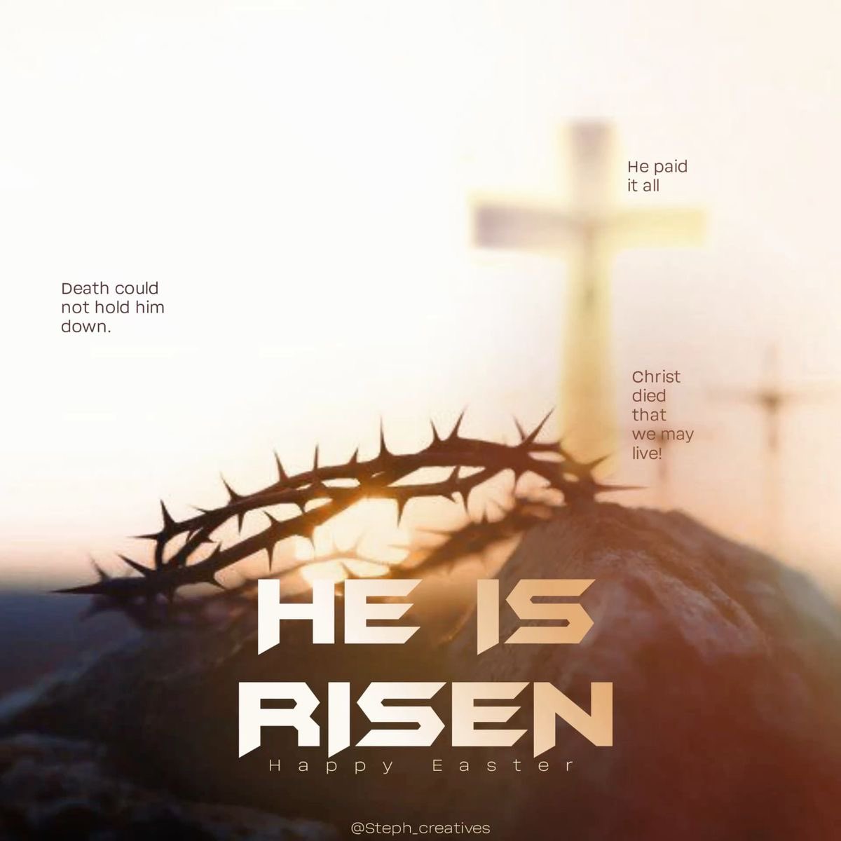 Steph Creatives ✨ tweet media