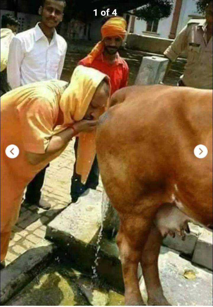 THE MALIK tweet media