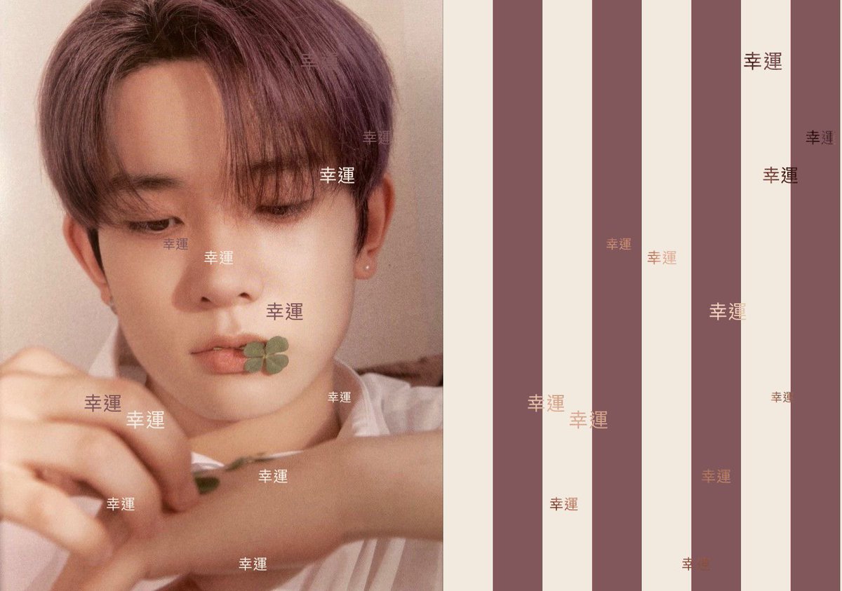 pei🎀🥟EVAN‼️ tweet media