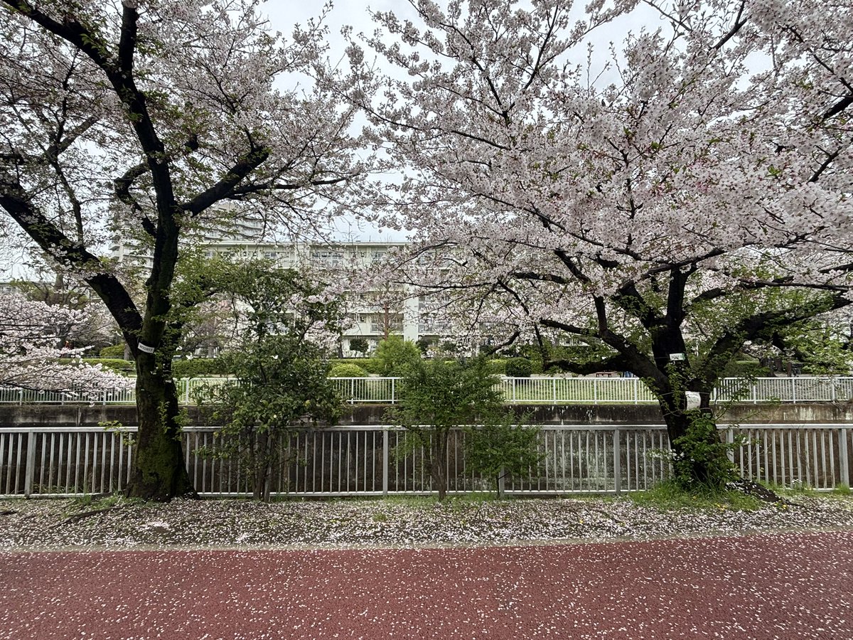 メタル tweet media