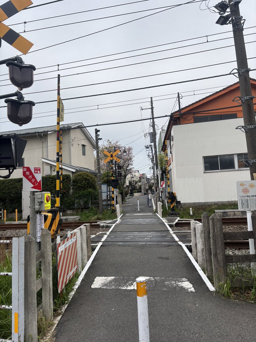 メタル tweet media