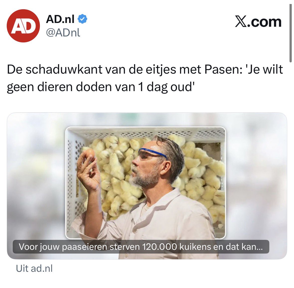 Raisa Blommestijn tweet media