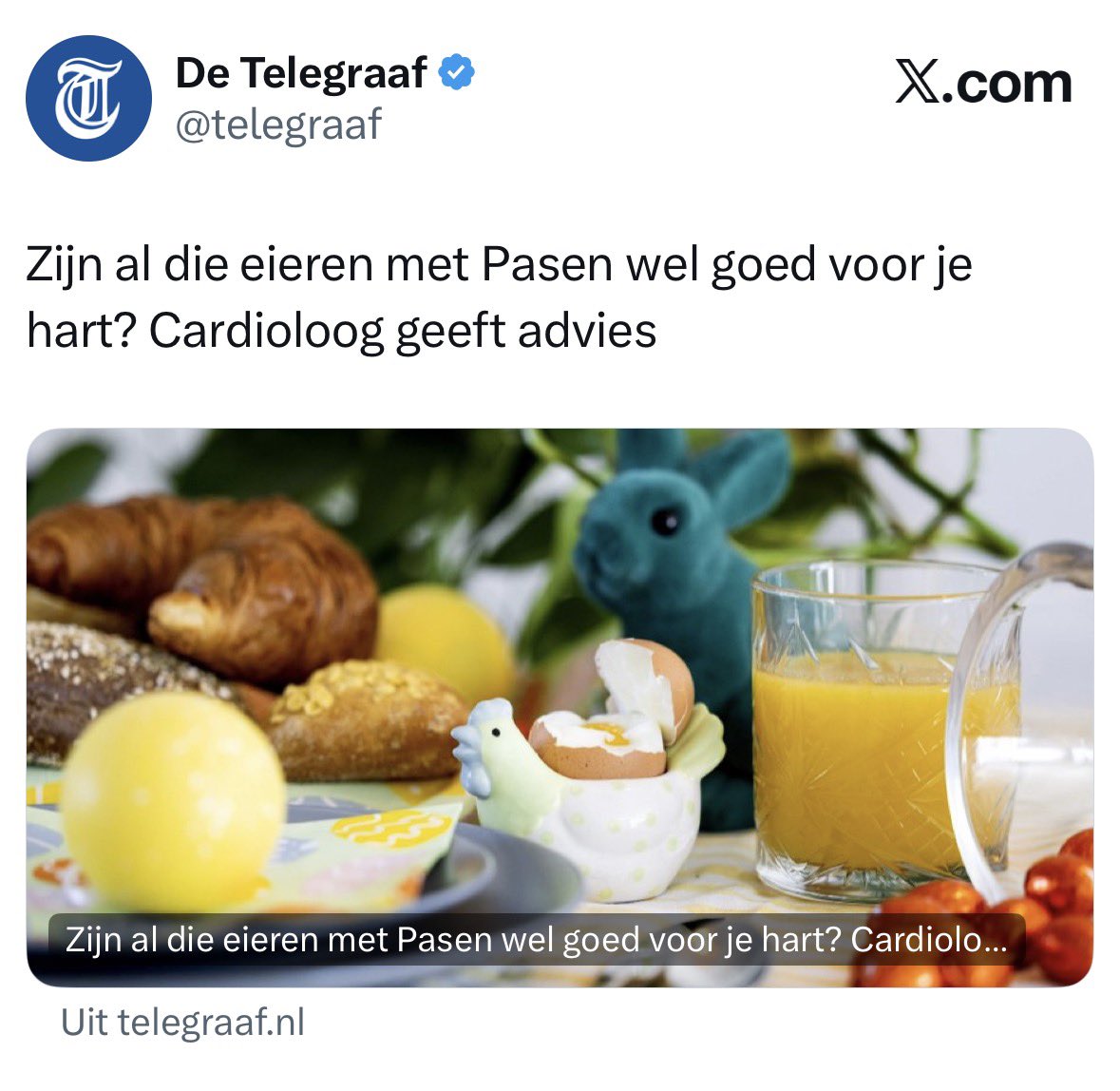 Raisa Blommestijn tweet media