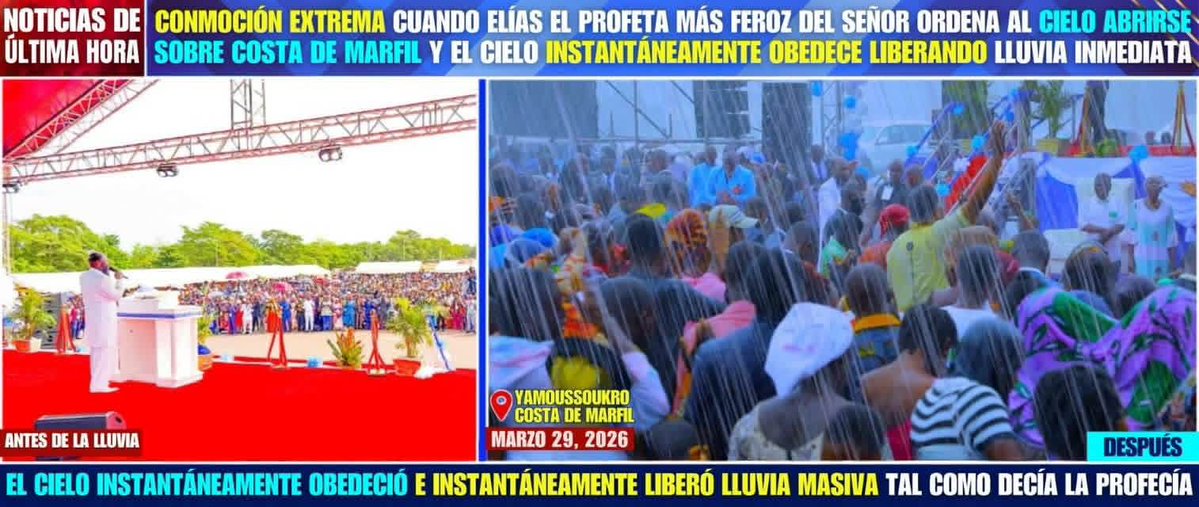 Adele Mofiro tweet media