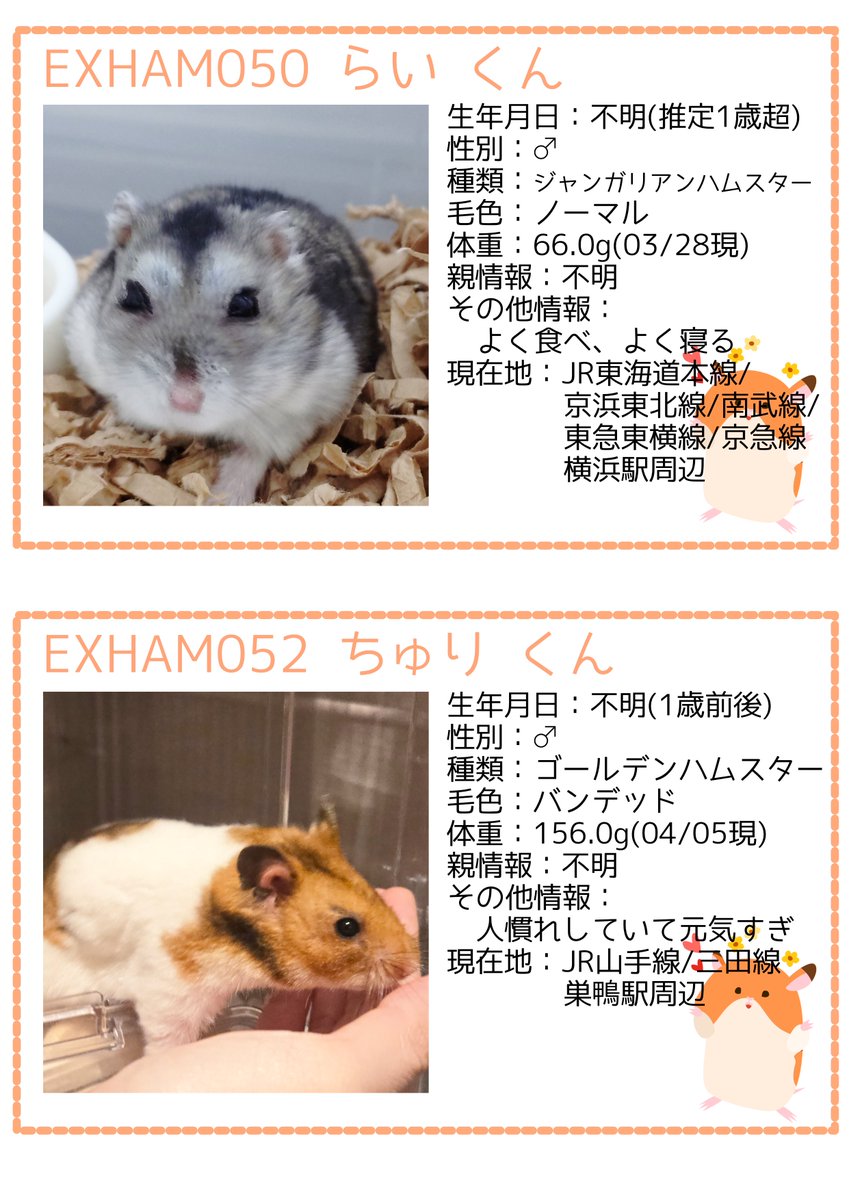 一般社団法人 ハムメディア tweet media