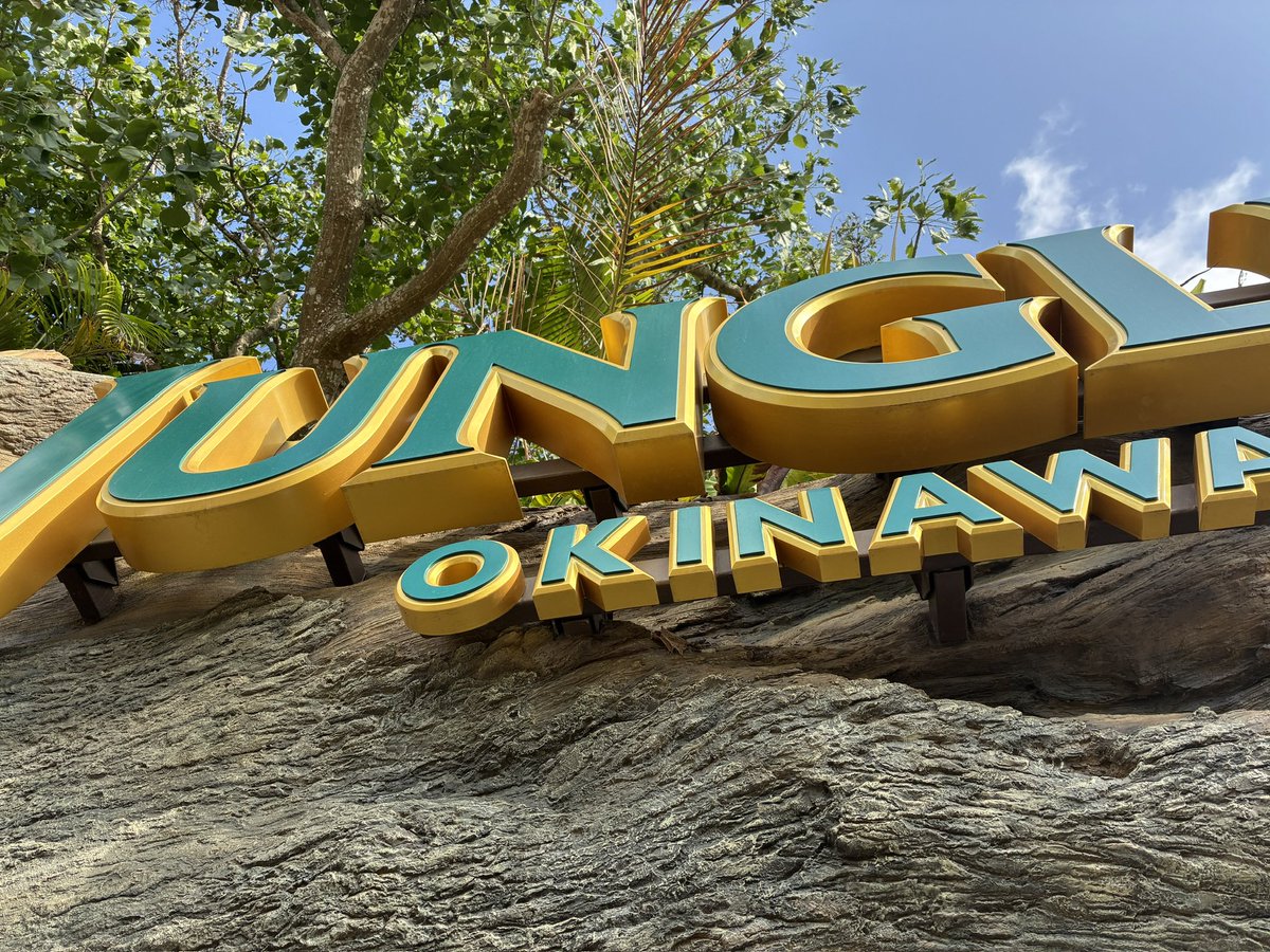 SFC修行中　旅人Hide tweet media