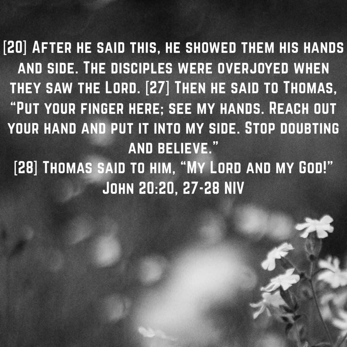 Phil Stock tweet media