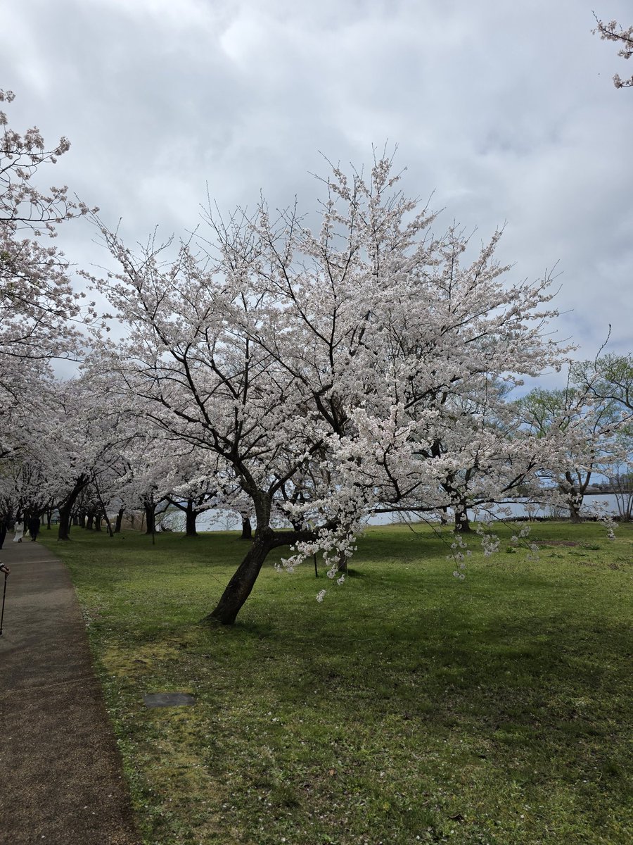 壇野みつ tweet media