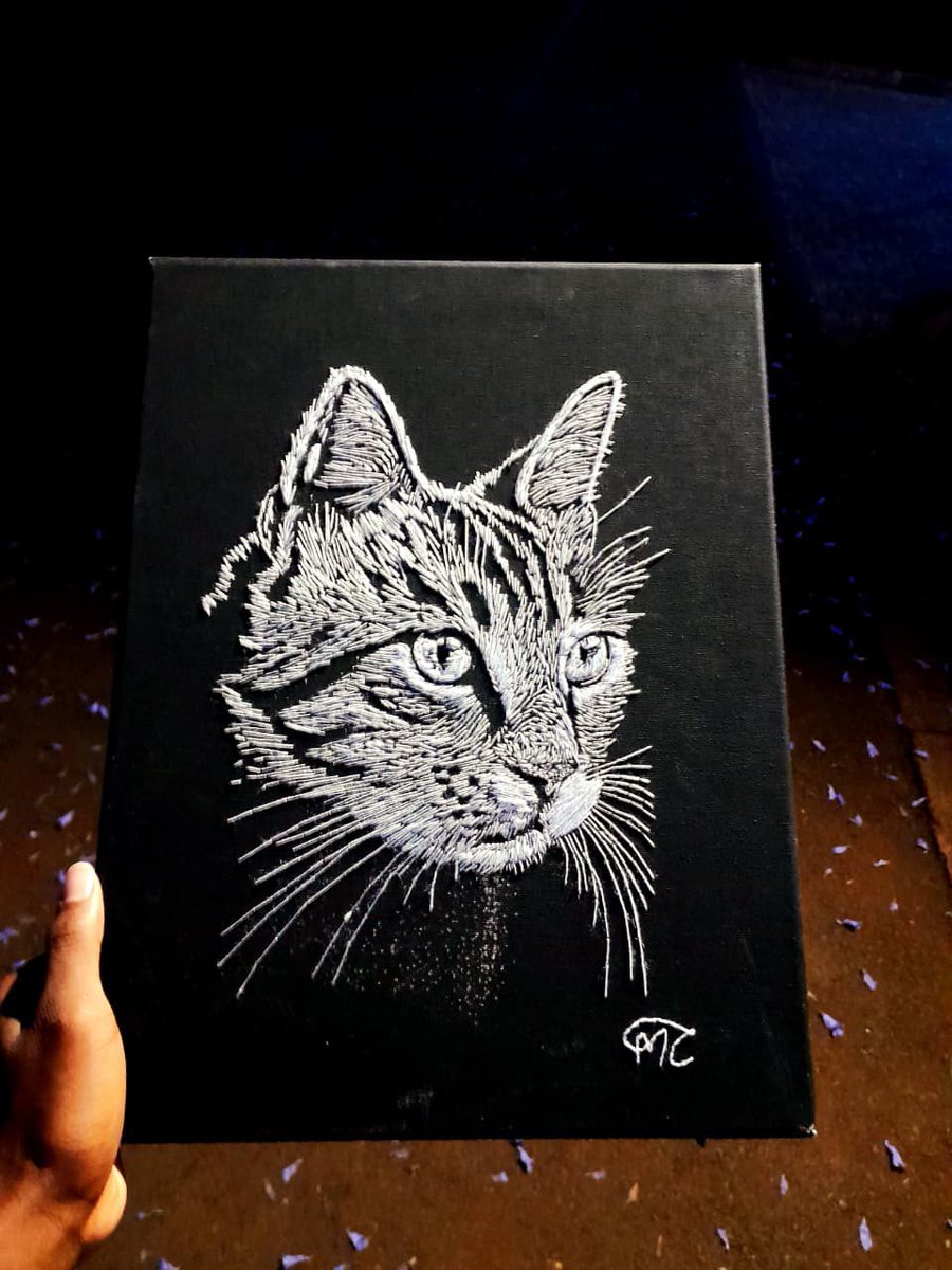 Mamba Creatives tweet media