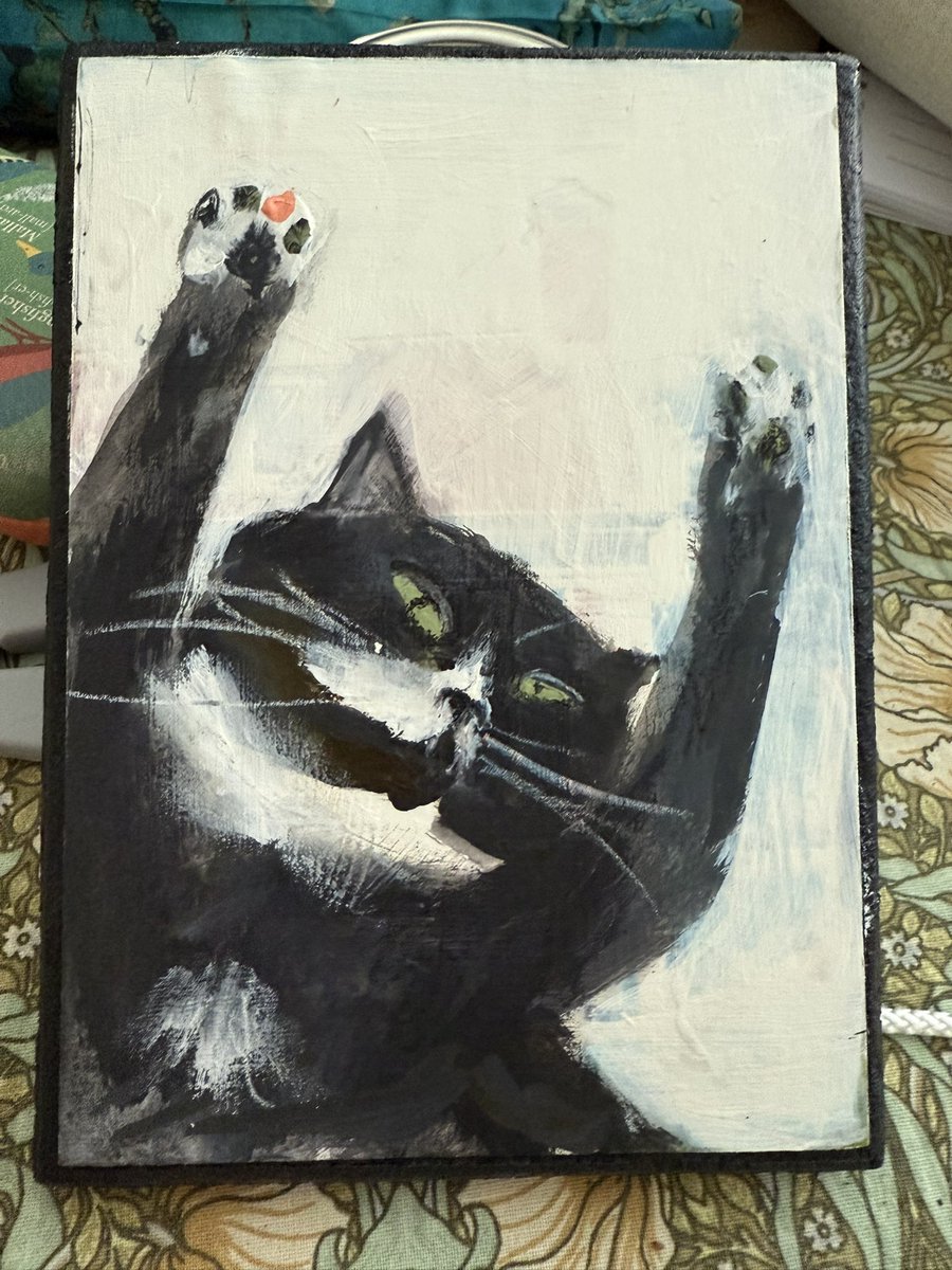 Sarah Evans tweet media