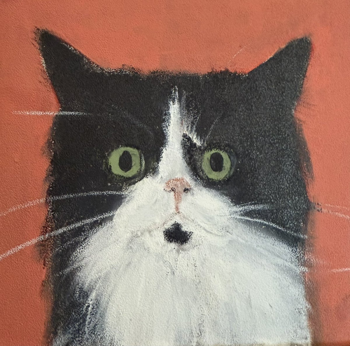 Sarah Evans tweet media