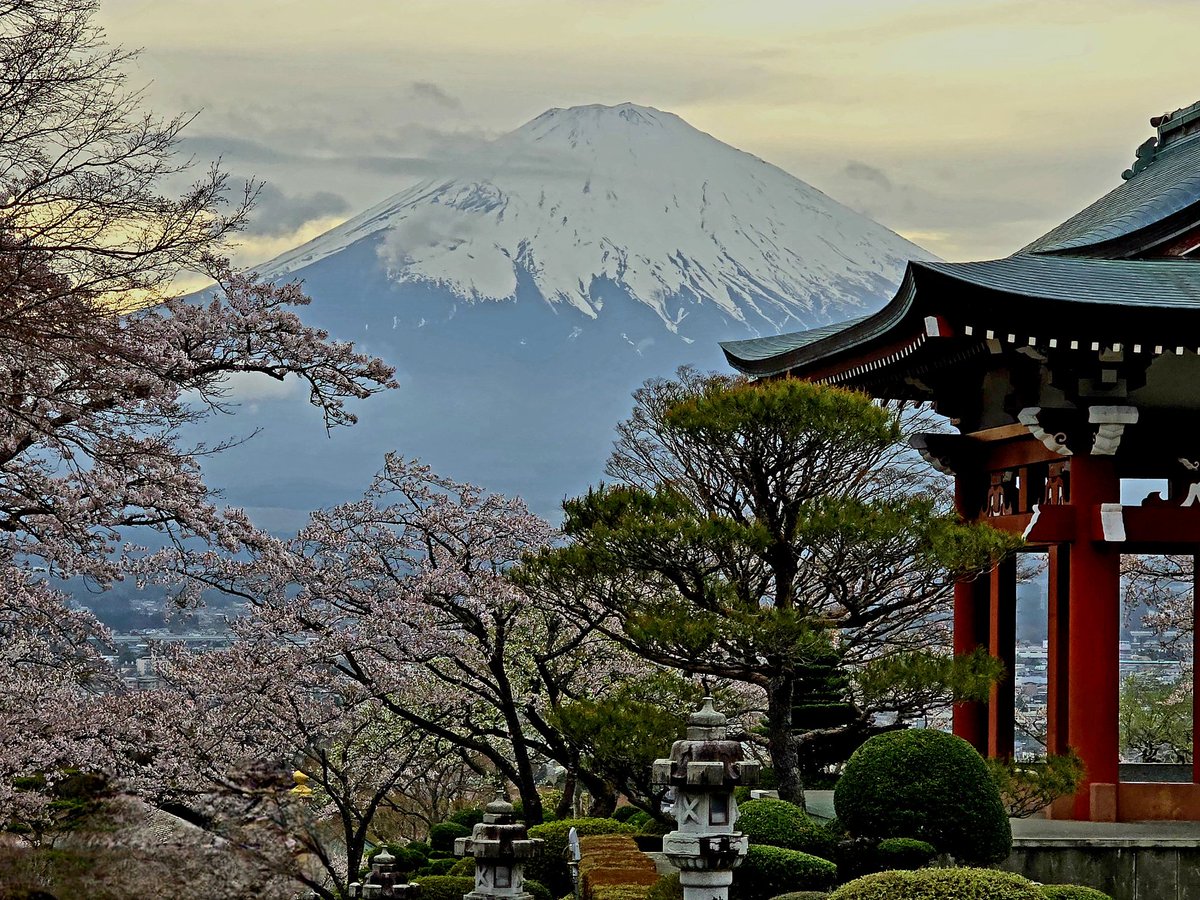 💙ℍℝℍ 𝔻𝕦𝕔𝕙𝕖𝕤𝕤 𝔽𝕒𝕪𝕖 from Downunder tweet media