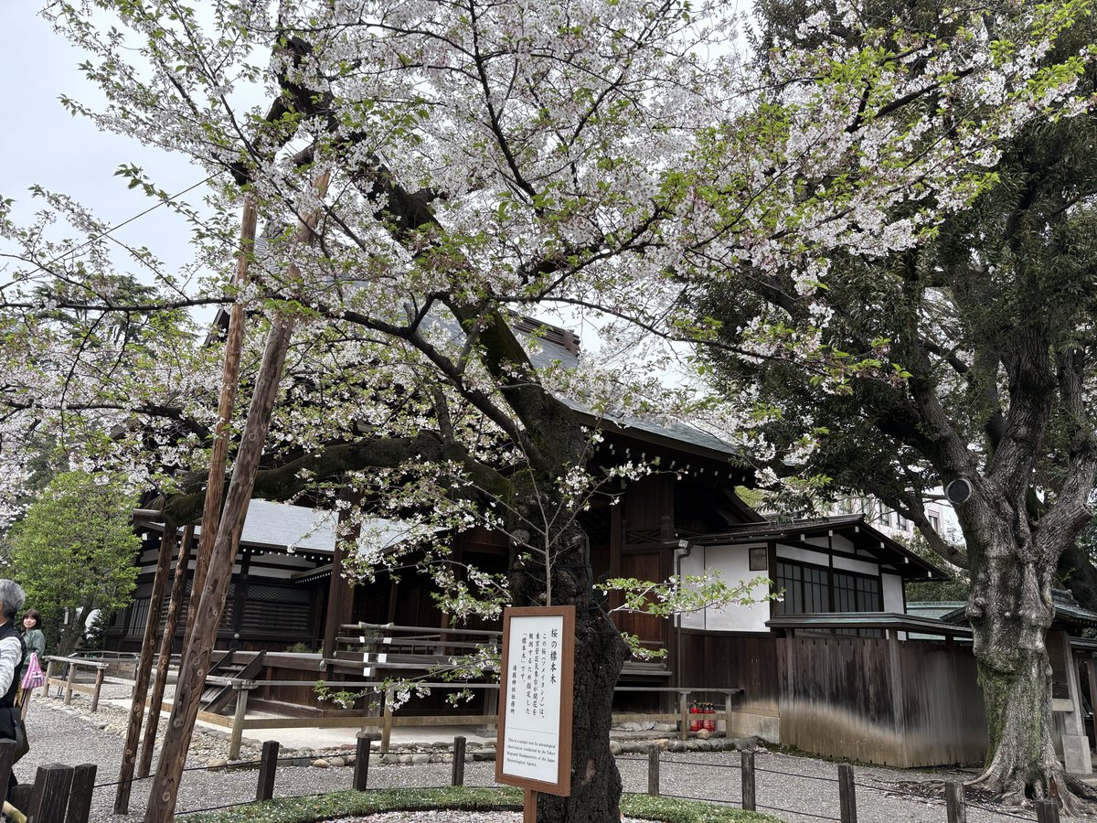 ち様。 tweet media