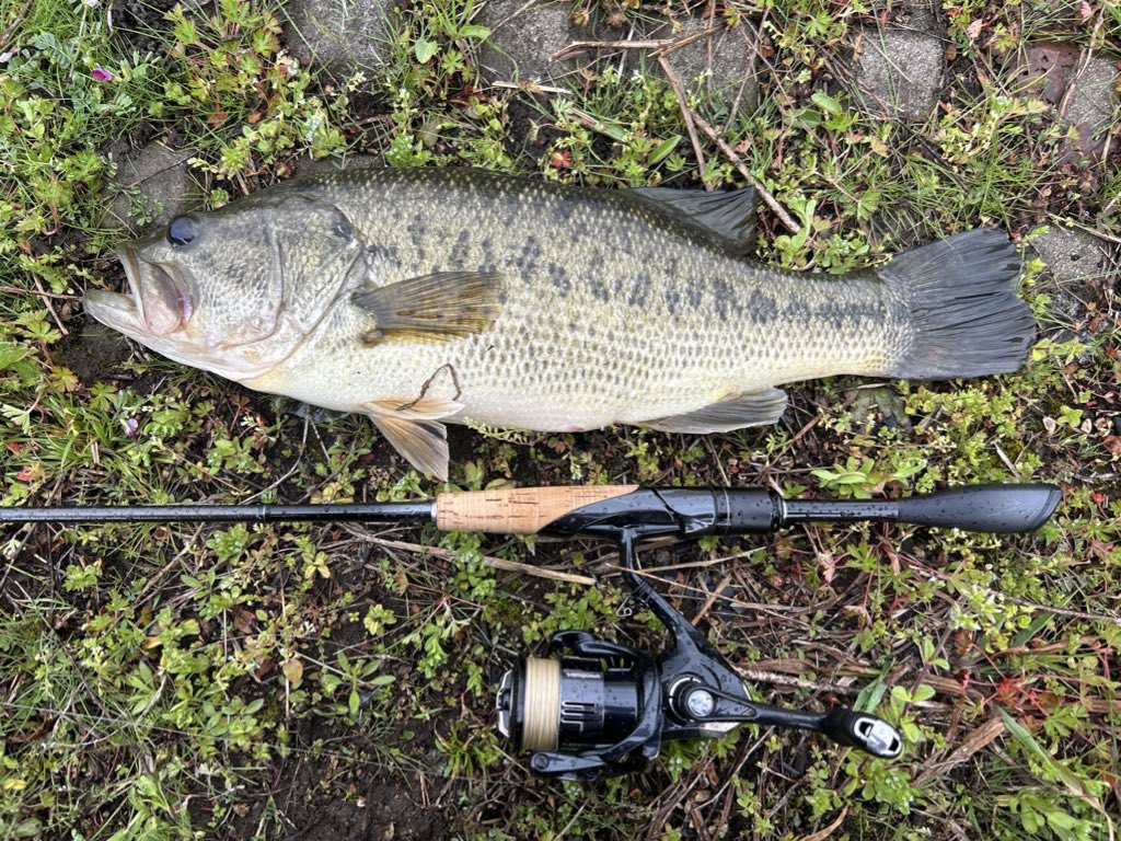 nofishstyle's tweet photo. #大江川
#バスマニアトーナメント
4月4日
暴風と雨のスペシャルな日
1時間くらいで3本
測ってないけどMAX48くらいかな
まだまだ釣れそうな日だけど
翌日大会なのでヤメ

4月5日
バスマニアトーナメント
前日みたいな楽な天気ではないけど
大江川で5バイト3キャッチ
3本リミットで6位
楽しかった https://t.co/HnE1y7AP3a