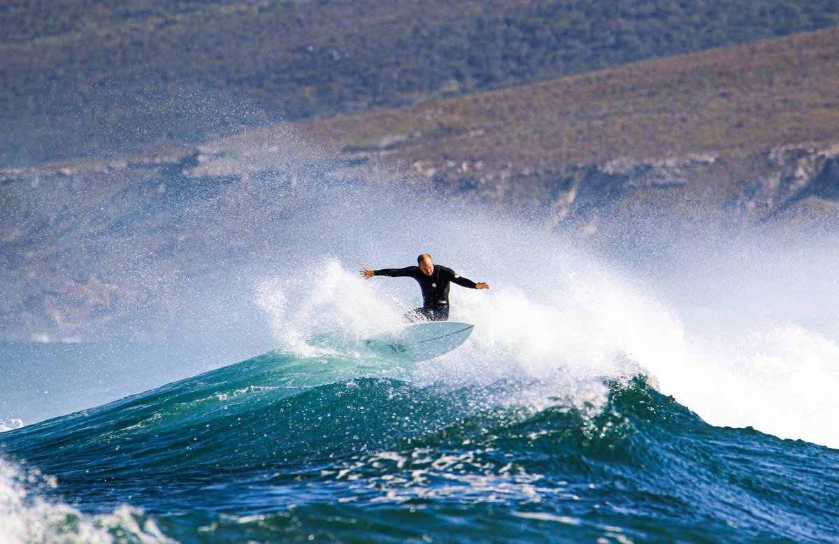 Austhetics tweet media