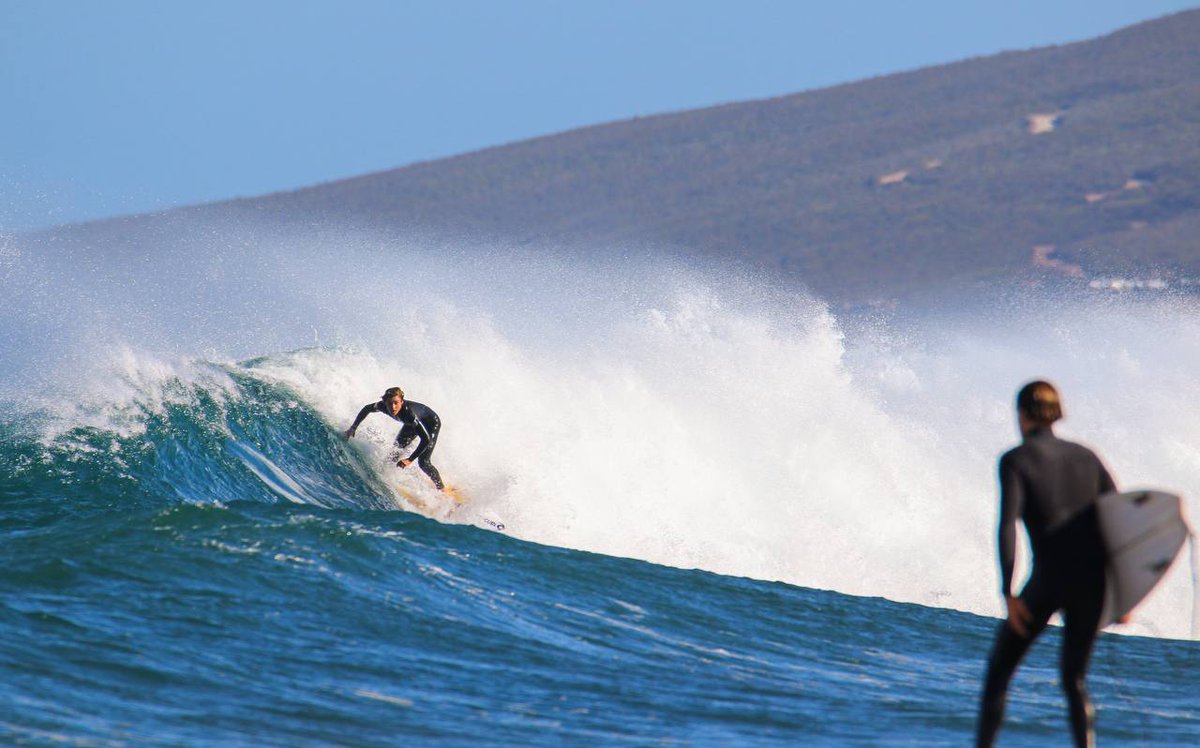 Austhetics tweet media