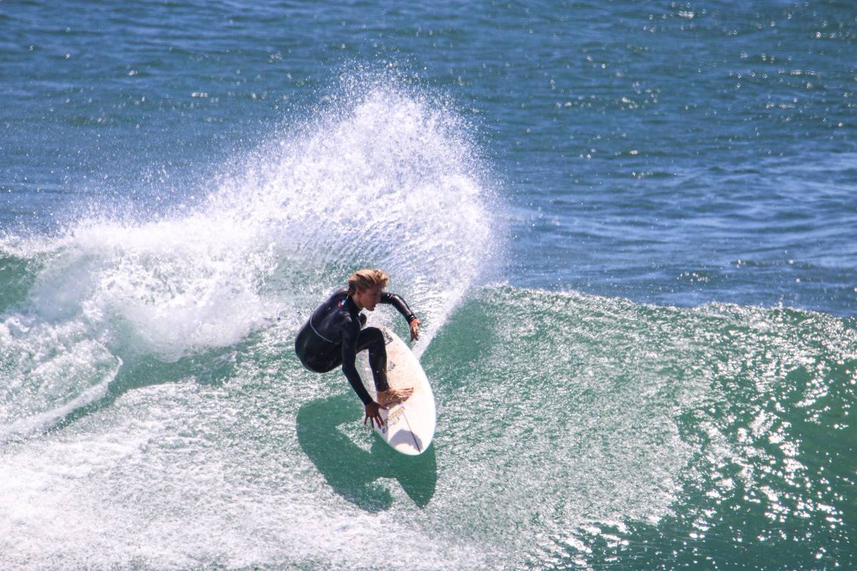 Austhetics tweet media