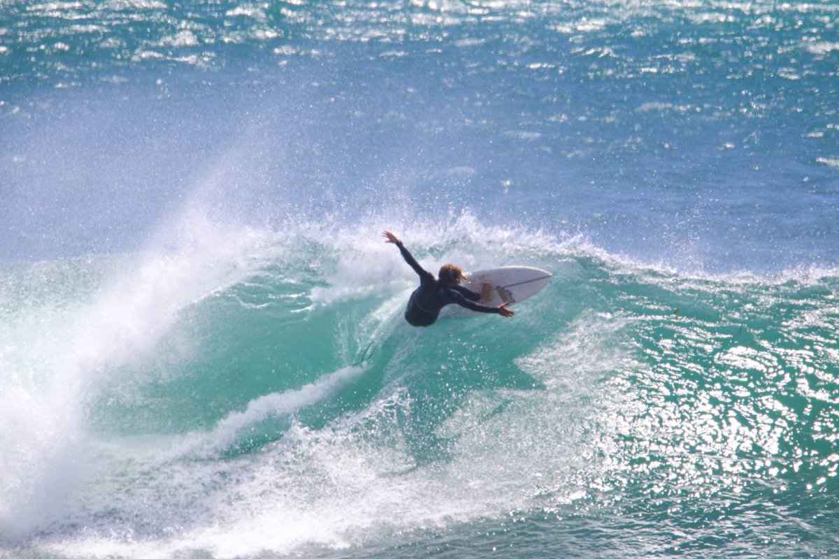 Austhetics tweet media