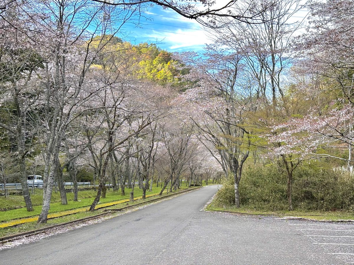 𝑺.𝑲_𝑬𝒖𝒓𝒐𝑹 tweet media