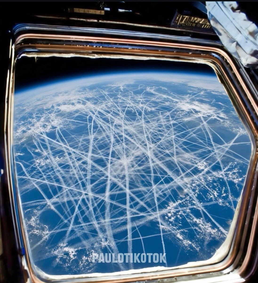 David Wolfe tweet media