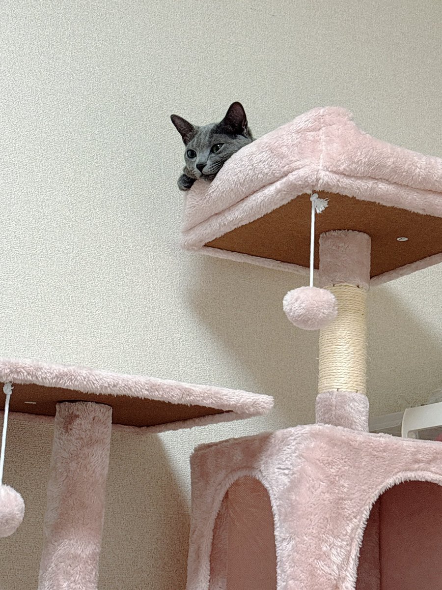 kiki🩶 tweet media