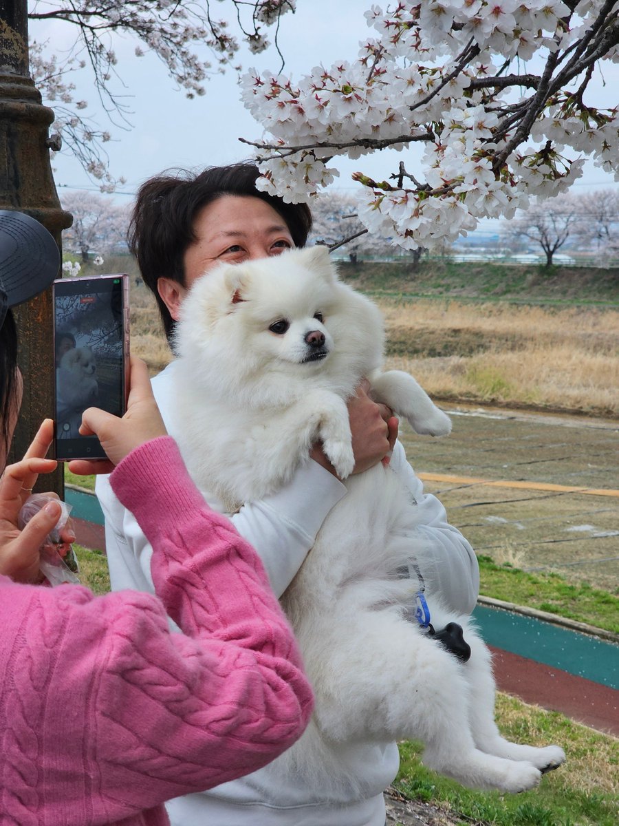 Ugonna Okeke tweet media