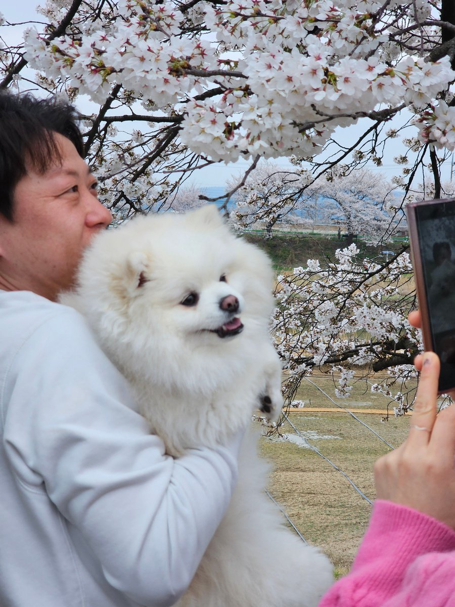 Ugonna Okeke tweet media