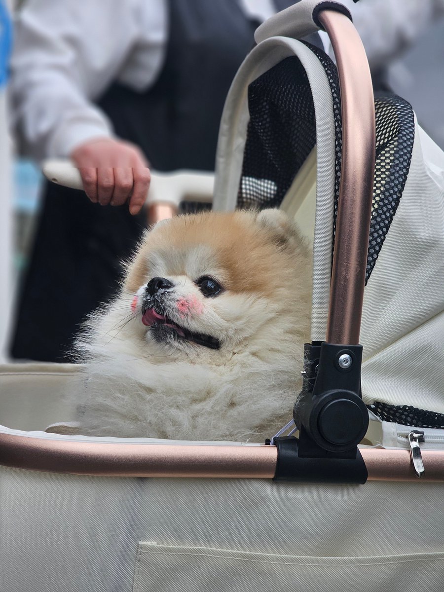 Ugonna Okeke tweet media