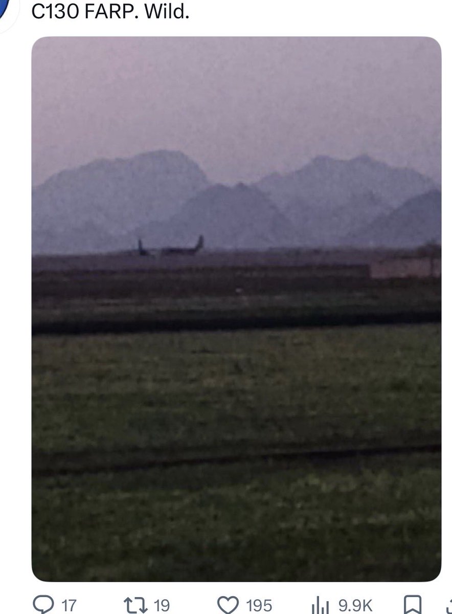 MaziMeko tweet media