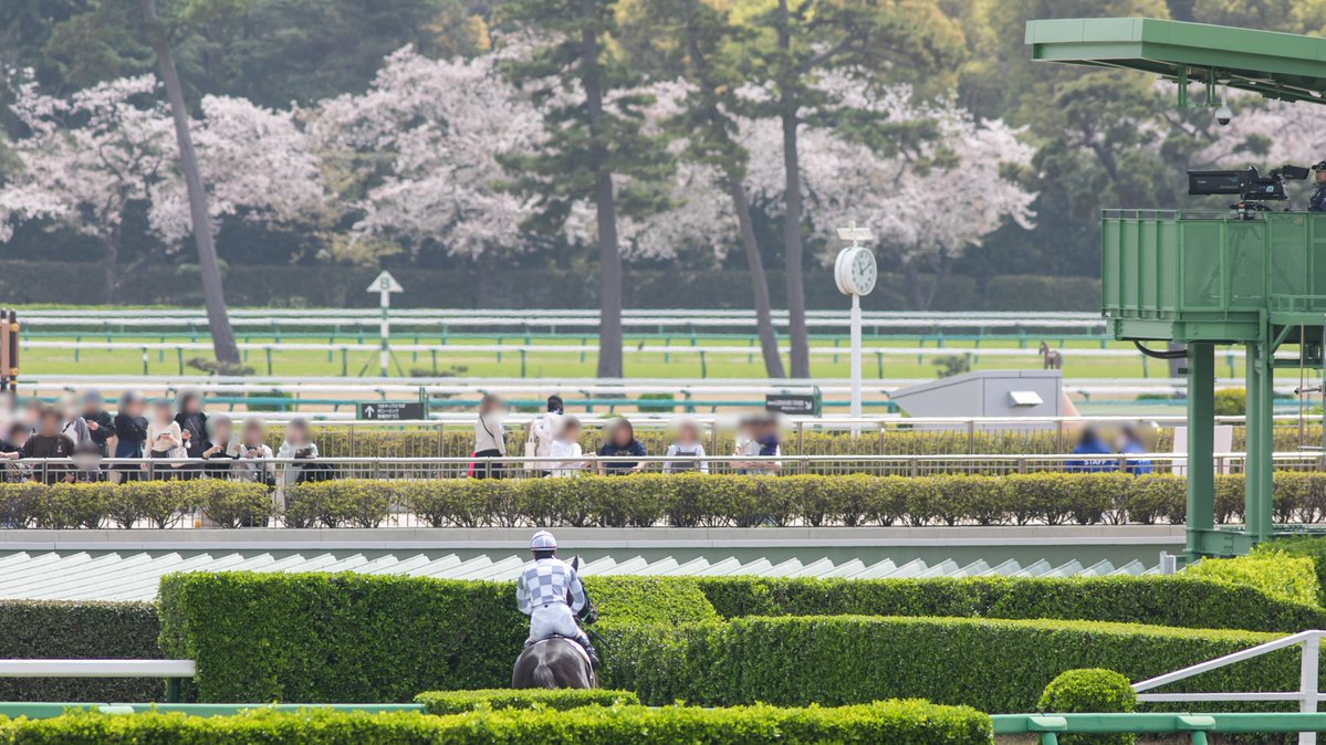 ライシャワー tweet media