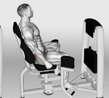 Micheal D tweet media