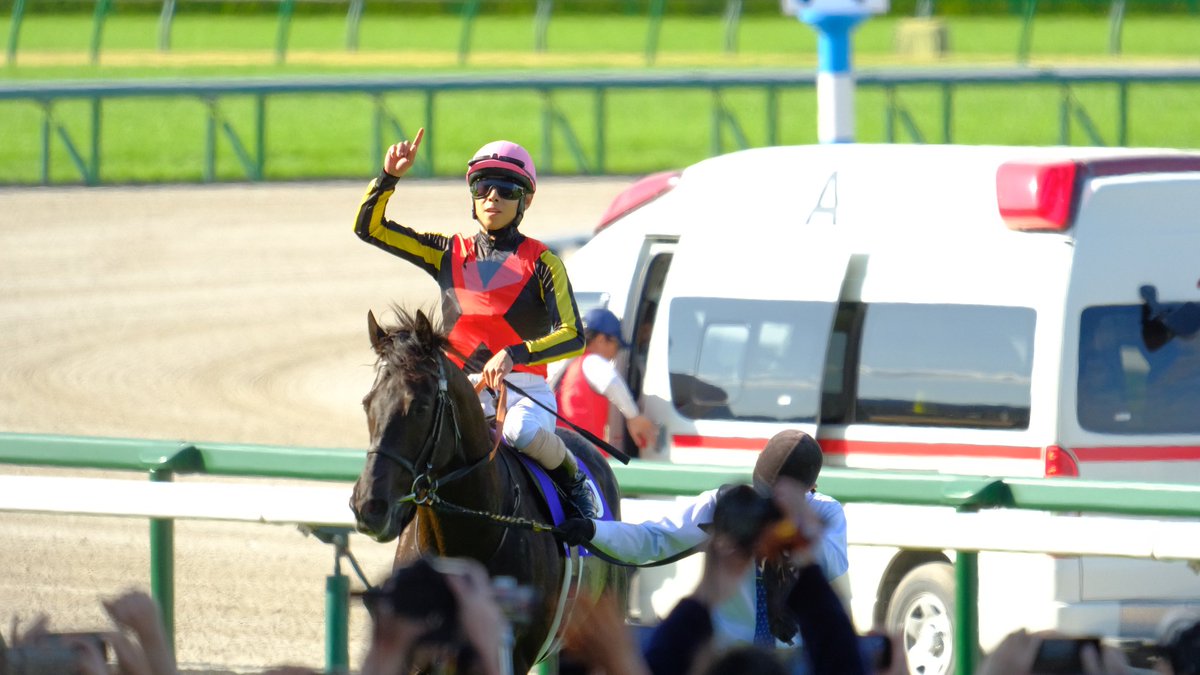 𝒚𝒐𝒔𝒉𝒊𝒌𝒊🏇 tweet media