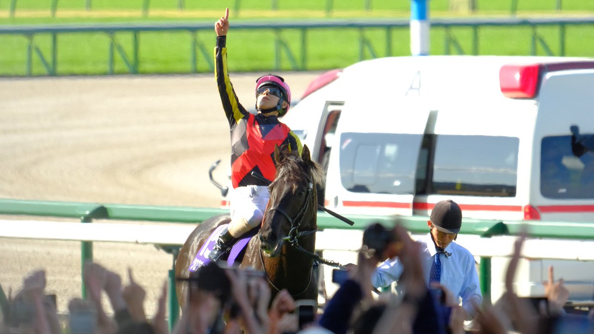 𝒚𝒐𝒔𝒉𝒊𝒌𝒊🏇 tweet media