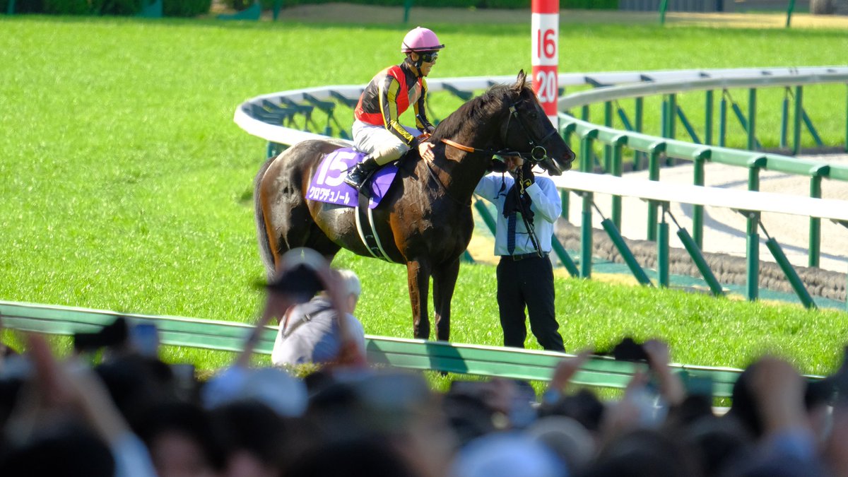 𝒚𝒐𝒔𝒉𝒊𝒌𝒊🏇 tweet media