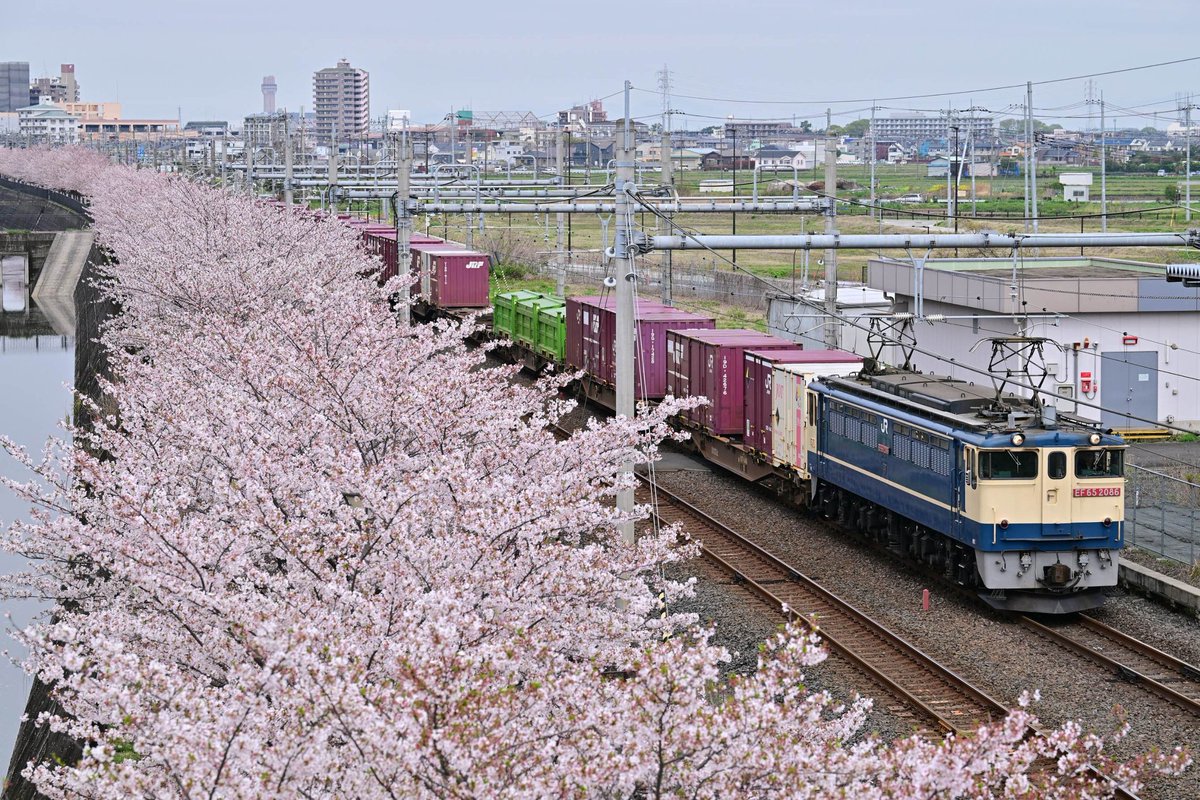 cassiopeia_ef510 tweet media