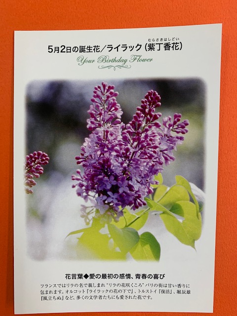 リラの花様　リクエスト専用ページ 誕生花ポストカード】 5/2の #誕生花 は『ライラック』 フランスでは