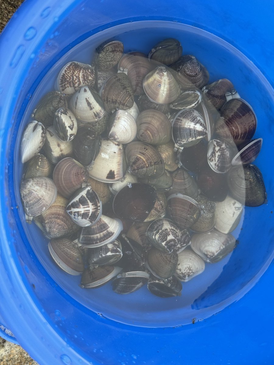 ふがまるちゃん@三重を撮る人 tweet media