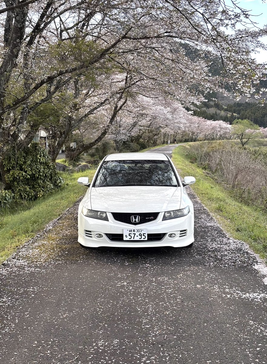 koki@日常 tweet media