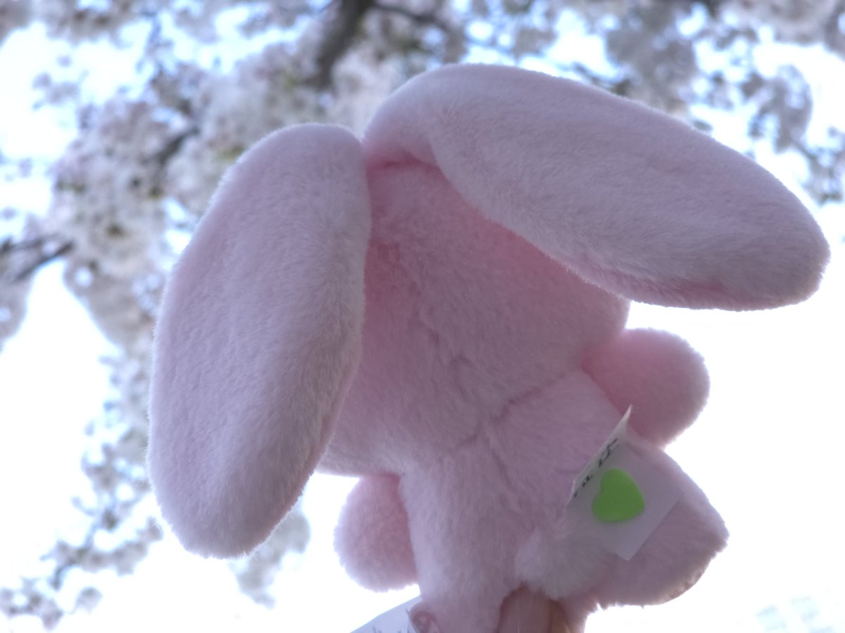 나잼⁶⁵ tweet media