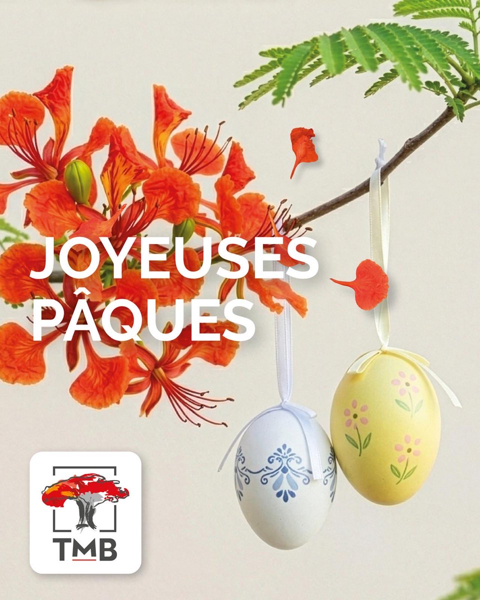 Trust Merchant Bank tweet media