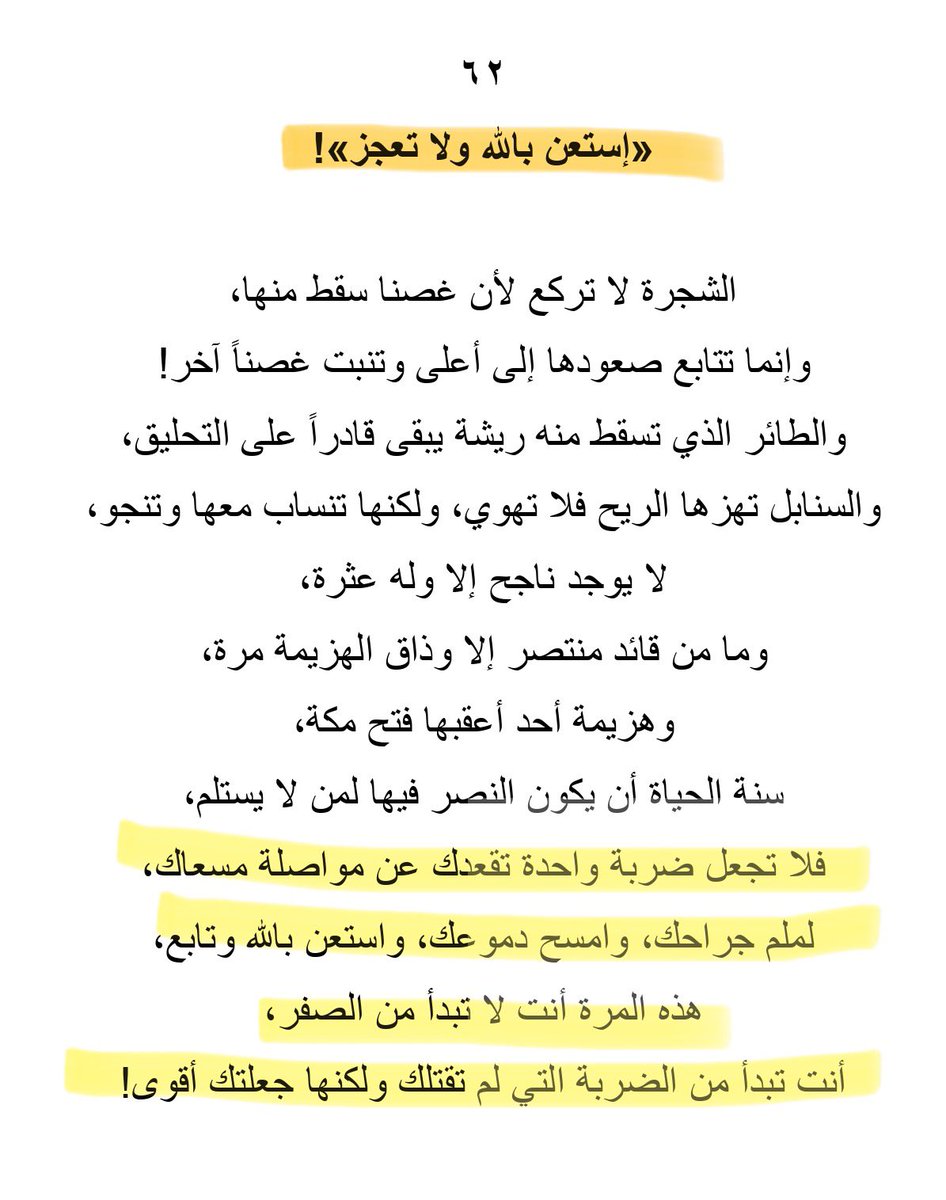 دانية الخوتاني tweet media