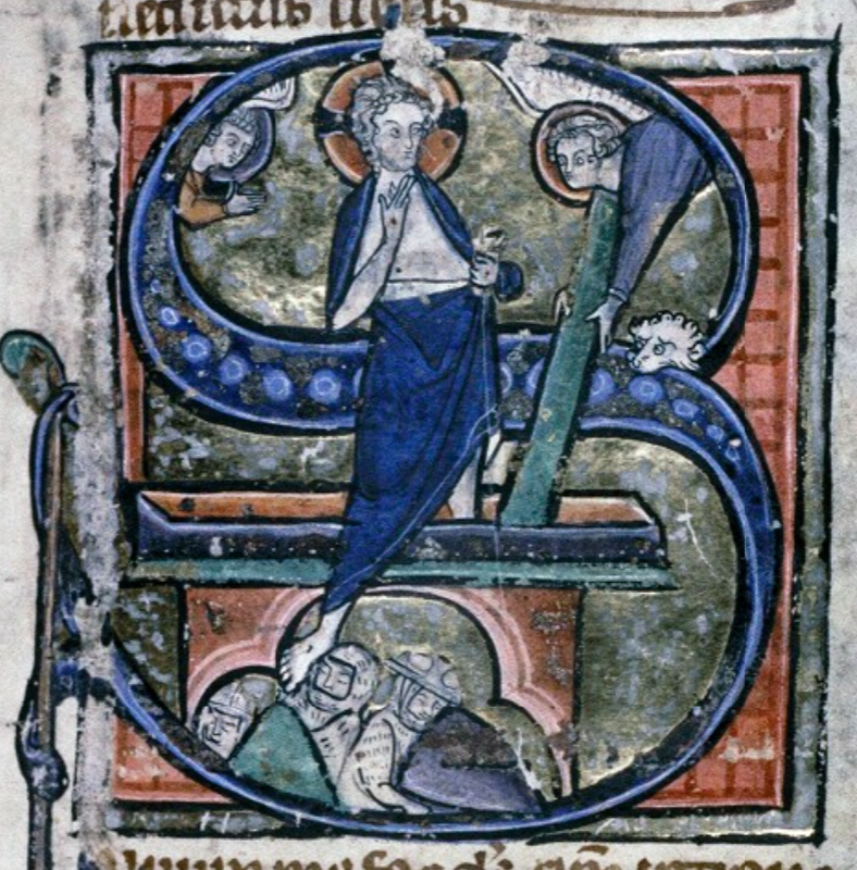 Dr Anna Wilmore tweet media