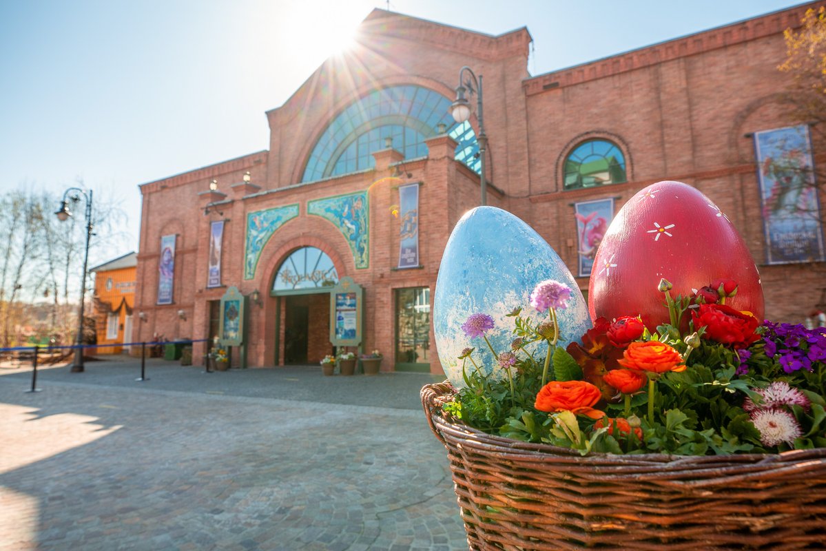 Thomas Mack tweet media