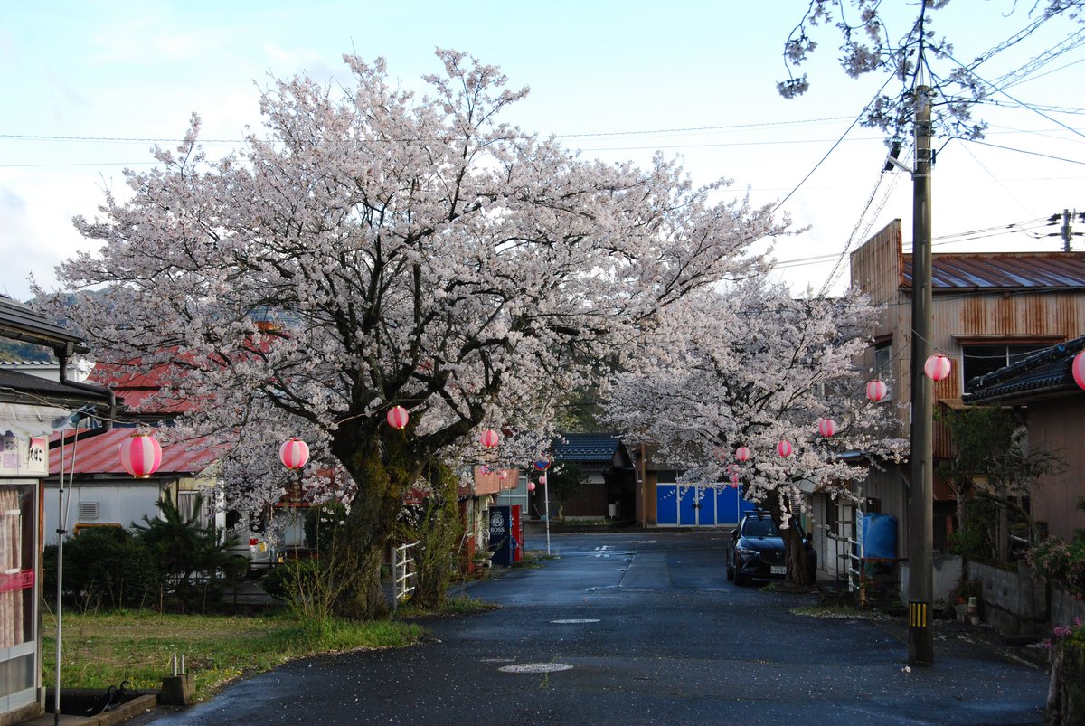 浮き輪 tweet media