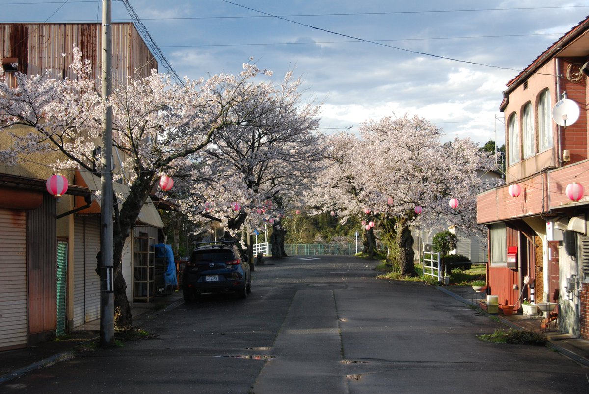 浮き輪 tweet media