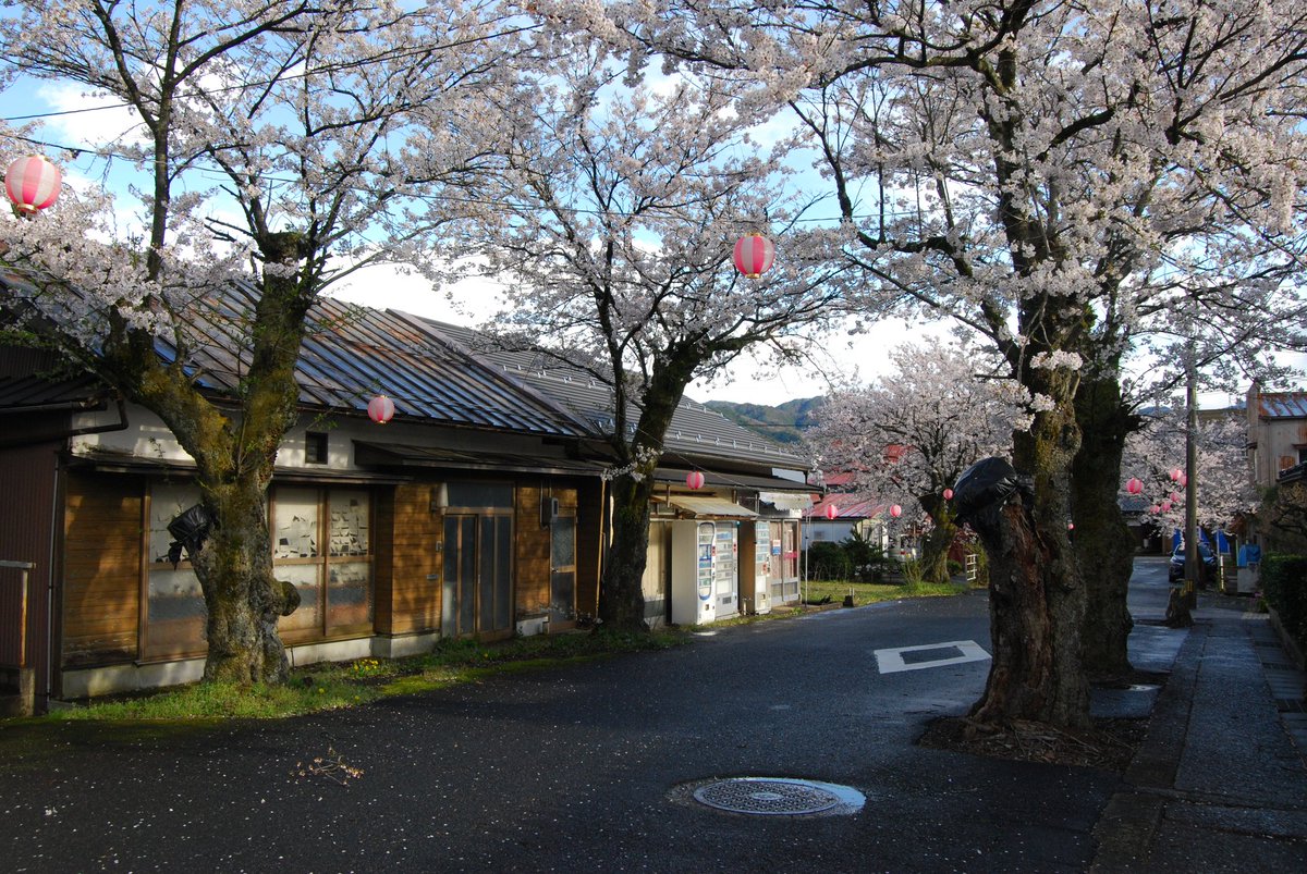 浮き輪 tweet media